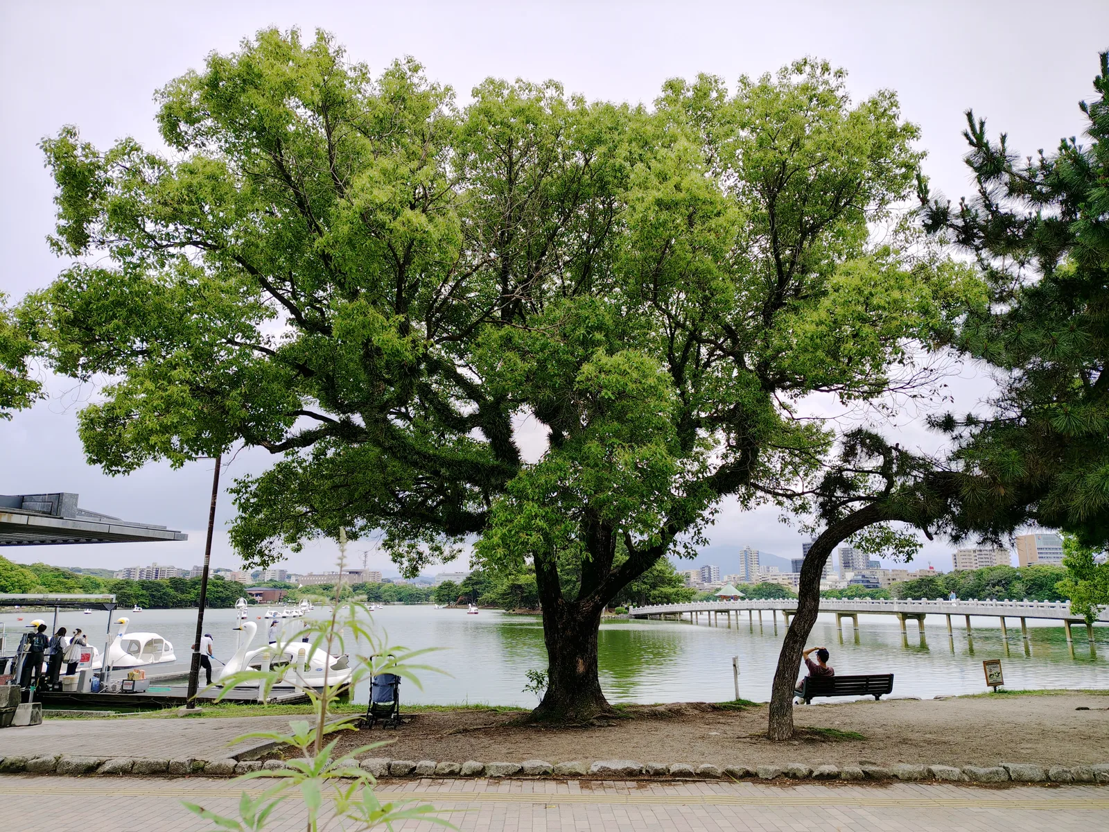 Fukuoka: 3 days in Fukuoka